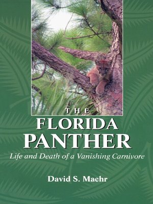 cover image of The Florida Panther